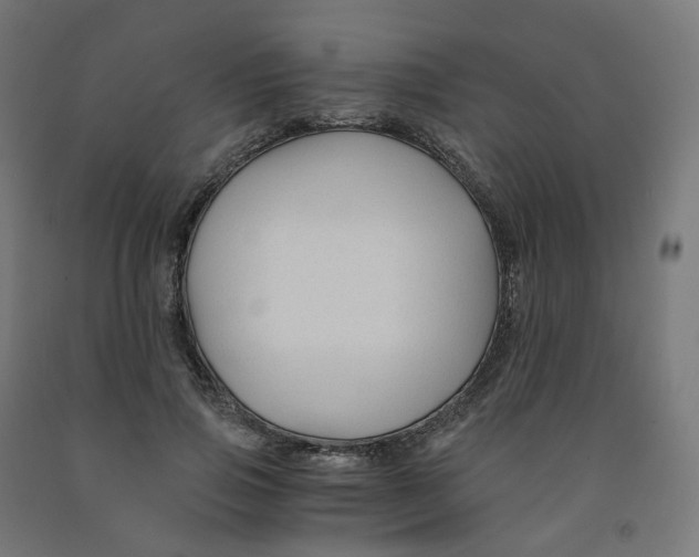 X0000091900741200710031822