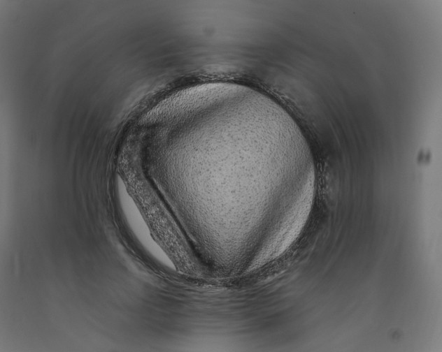 X0000091900742200710031822