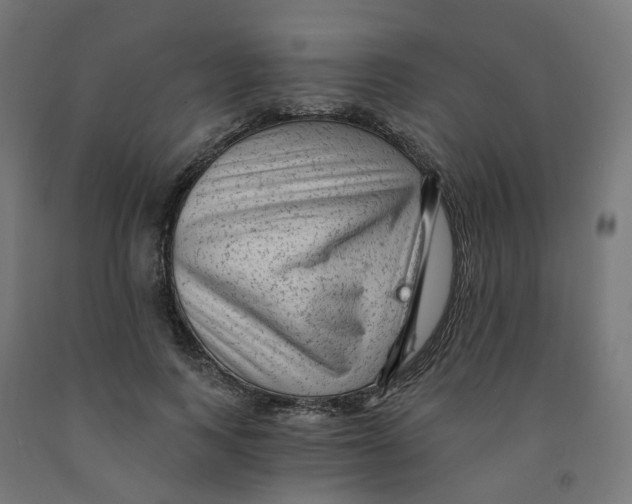 X0000091900743200710031822