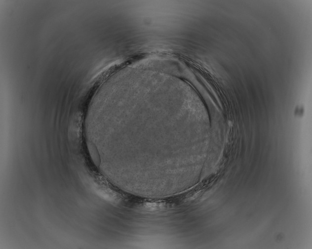 X0000091900744200710031822