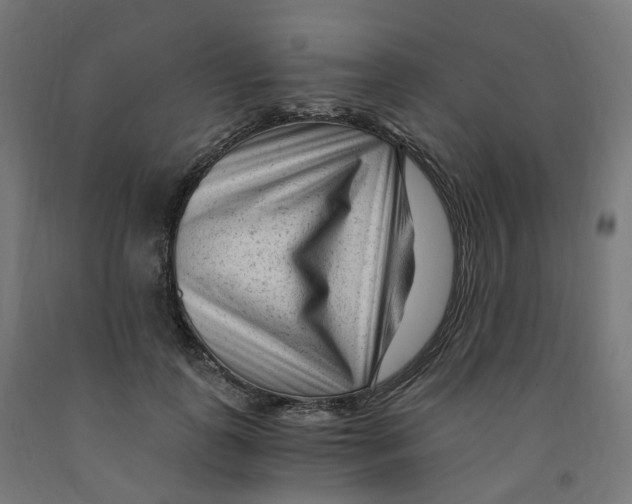 X0000091900747200710031822