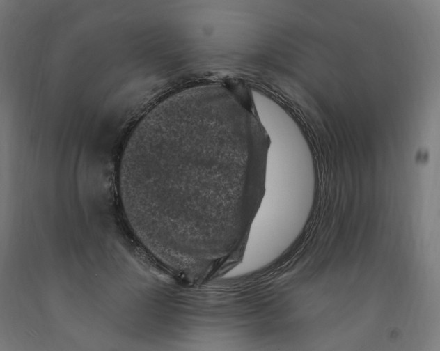 X0000091900748200710031822