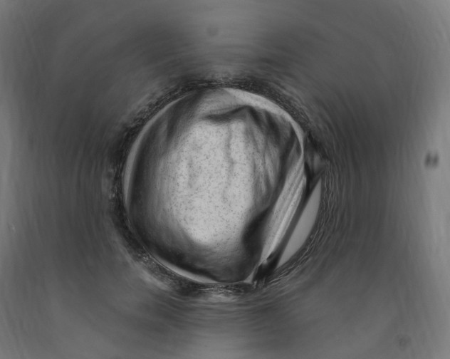 X0000091900750200710031822