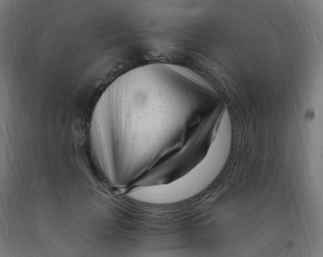 X0000091900751200710031822