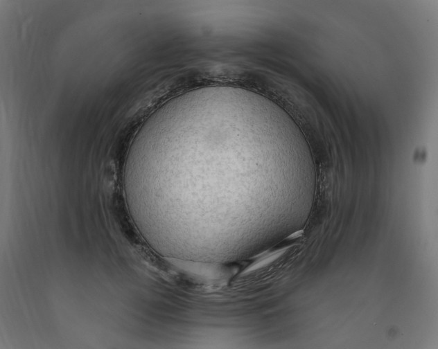 X0000091900752200710031822