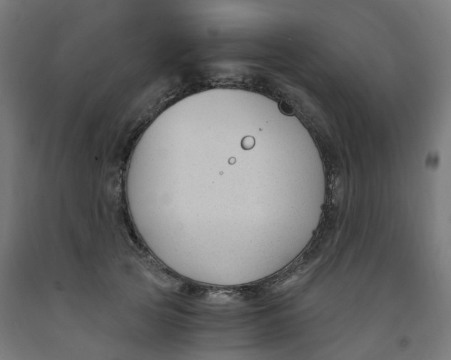 X0000091900753200710031822