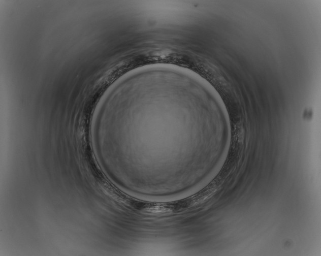 X0000091900754200710031822