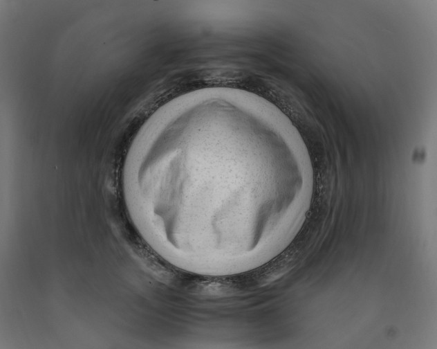 X0000091900755200710031822