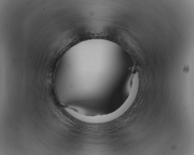 X0000091900756200710031822