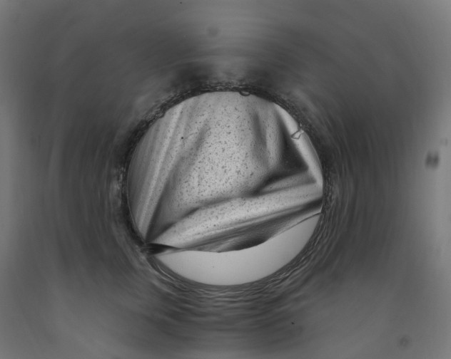 X0000091900759200710031822