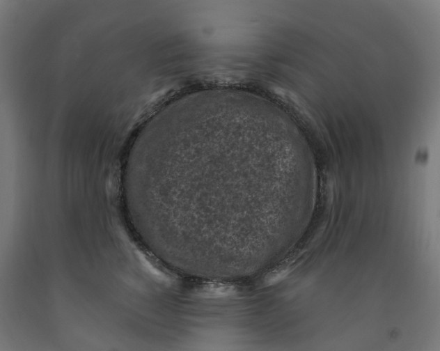 X0000091900760200710031822