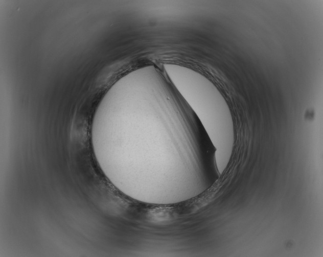 X0000091900761200710031822