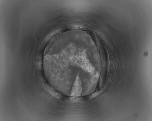 X0000091900762200710031822