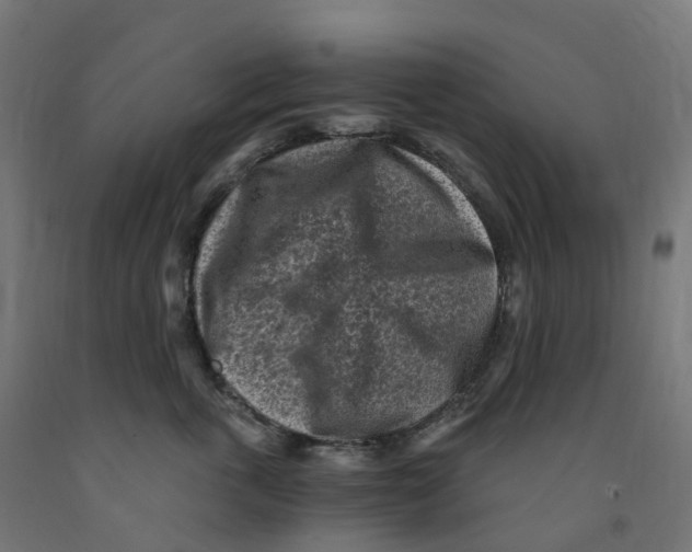 X0000091900763200710031822