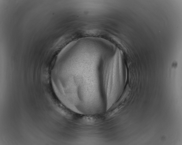 X0000091900764200710031822