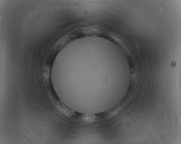 X0000091900767200710031822