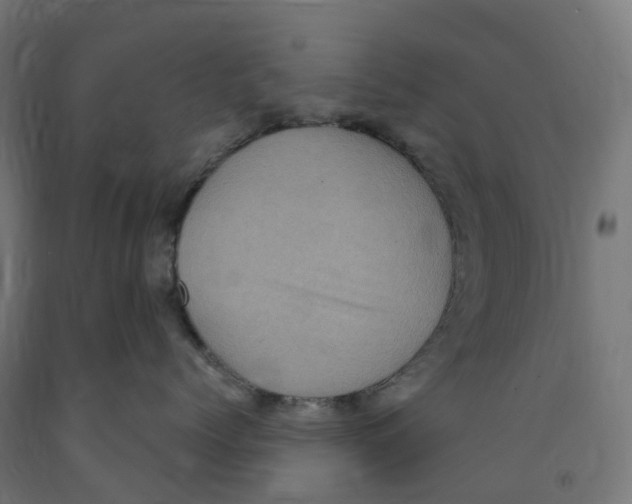 X0000091900768200710031822