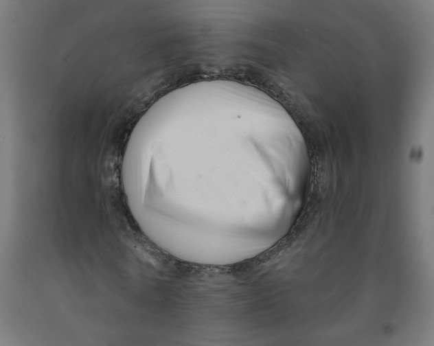 X0000091900770200710031821