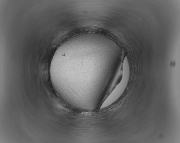 X0000091900771200710031821