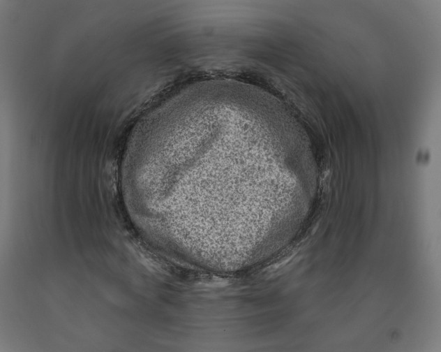 X0000091900772200710031821