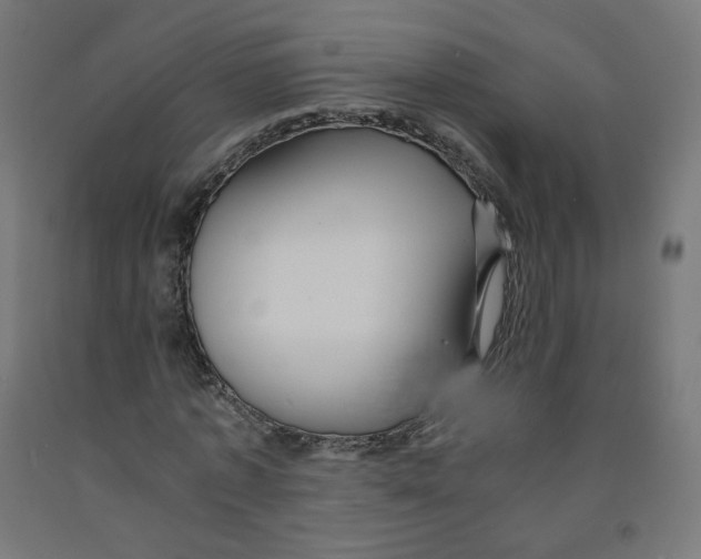 X0000091900773200710031821