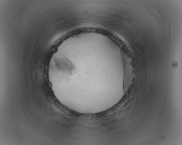 X0000091900775200710031821