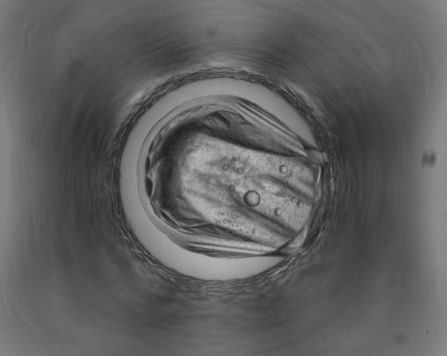 X0000091900776200710031821