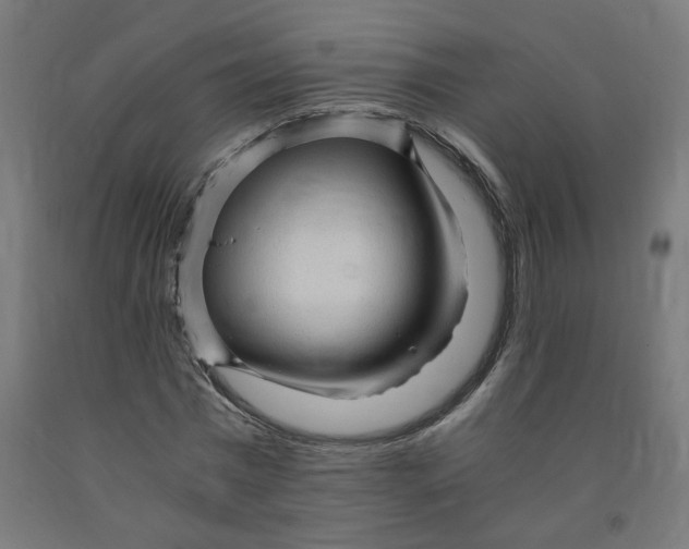 X0000091900777200710031821