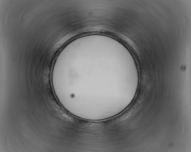 X0000091900778200710031821