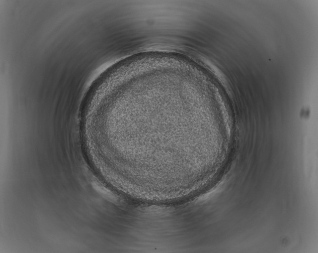 X0000091900779200710031821