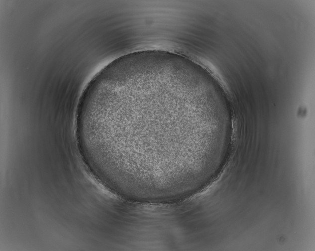 X0000091900780200710031821