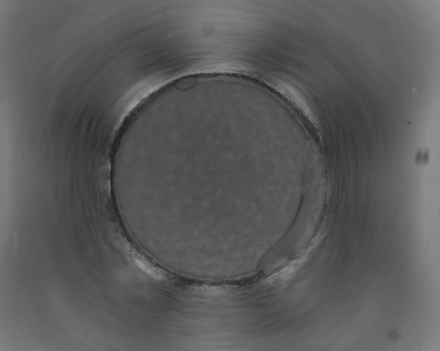 X0000091900781200710031821