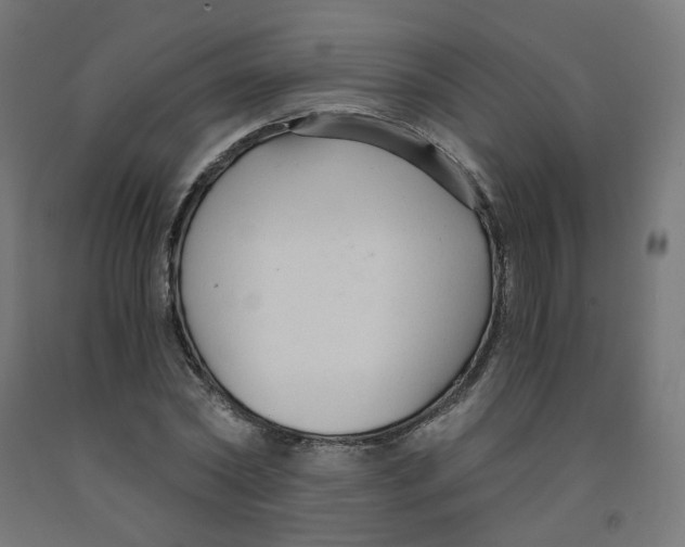 X0000091900782200710031821