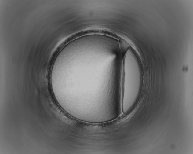 X0000091900783200710031821