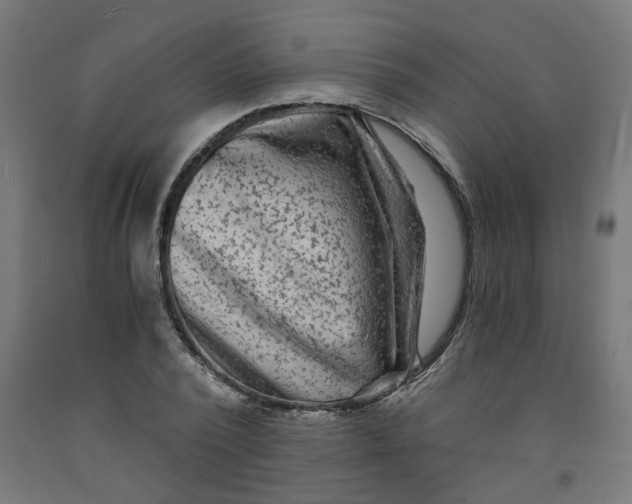 X0000091900784200710031821