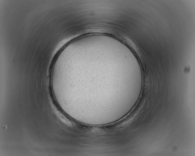 X0000091900787200710031821