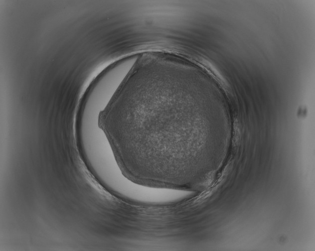 X0000091900788200710031821