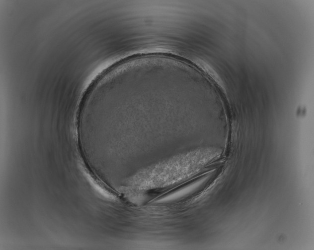 X0000091900789200710031821