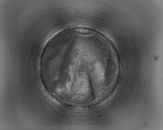 X0000091900790200710031821