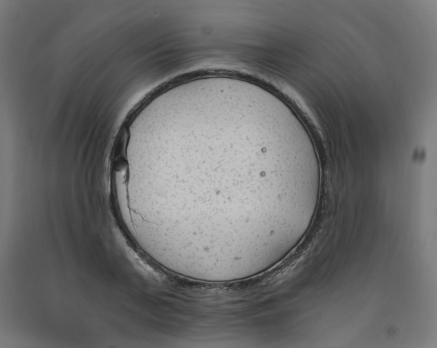 X0000091900791200710031821