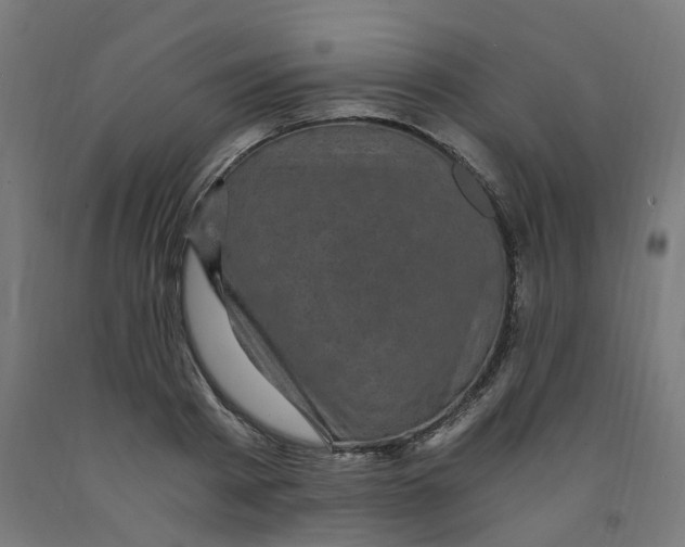 X0000091900793200710031821