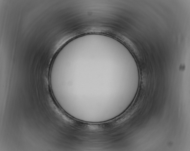 X0000091900794200710031821