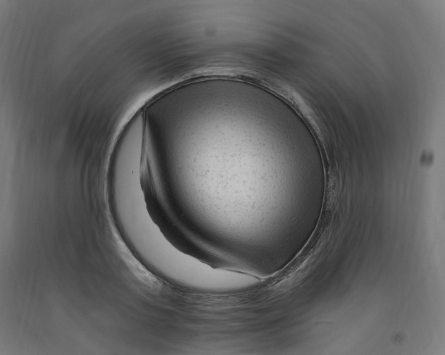 X0000091900795200710031821