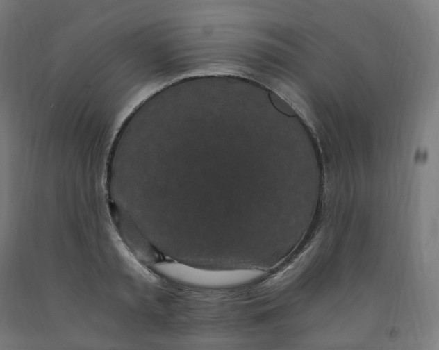 X0000091900797200710031821