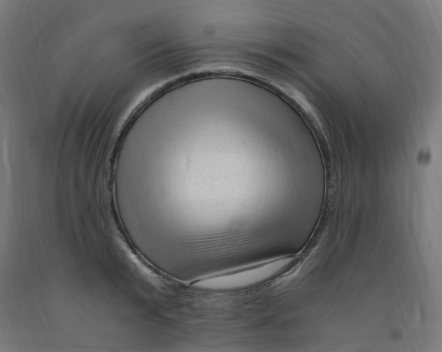 X0000091900799200710031821