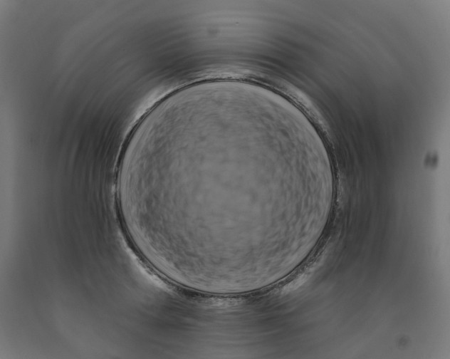 X0000091900802200710031821