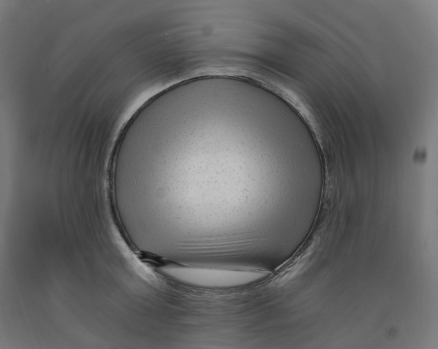 X0000091900803200710031821