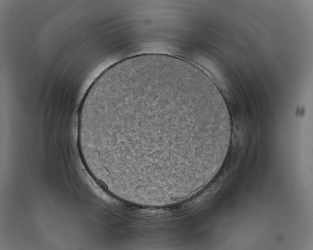 X0000091900804200710031821