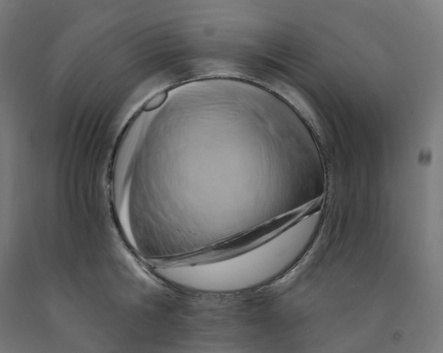 X0000091900806200710031821