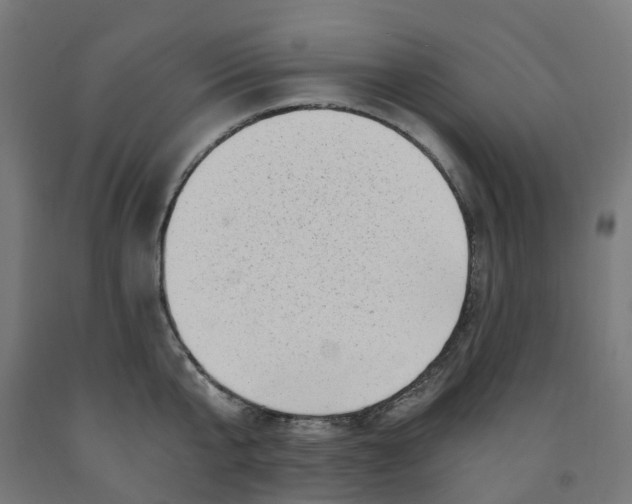 X0000091900807200710031821